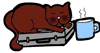 Cat Sleeping on Briefcase with Coffee