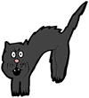 Scared Black cat
