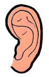 Ear Clipart