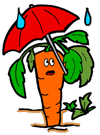 Carrot Holding Umbrella