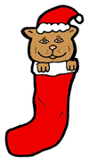 Cat in Stocking
