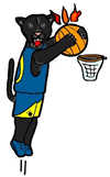 Panther Slamming Basketball