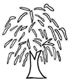 Weeping Willow Tree Clipart