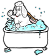 Poodle Taking a Bath in a Clawfoot Tub