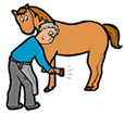 Farrier Checking Horse
