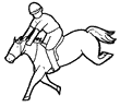 Equestrian Riding Horse