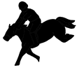 Equestrian Horse Jumper