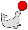 Seal Balancing Ball