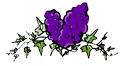 Ivy Lilac Clipart