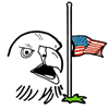 Eagle Half Mast American Flag