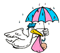 Stork Delivering in Rain Clipart