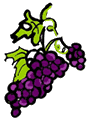 Grapes on Vine Clip Art