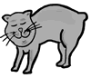Grey Manx Cat