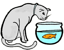 Cat Looking in Fish Bowl