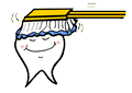 HappyTooth Being Brushed
