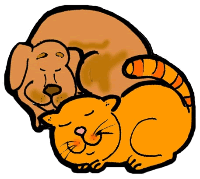 Cat & Dog Sleeping Together