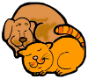 Dog & Cat Nap