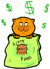 Kitten in Kitty Food