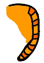 Flat Cat Tail