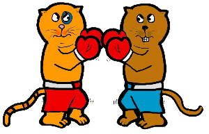 Boxing Cats