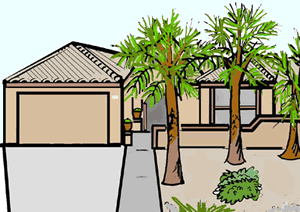 House with Palm Trees