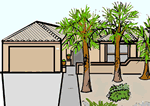 House with Palm Trees