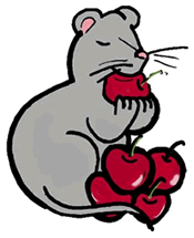 Mouse Eating Cherries