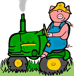 Pig on Tractor
