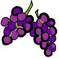Grapes