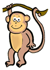 Monkey Hanging off Branch