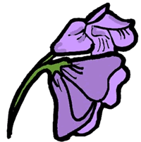 Violet