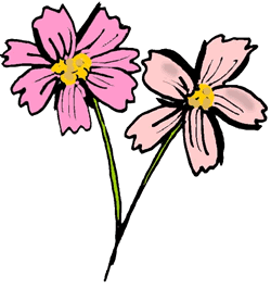 Cosmos