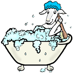 Goat Bathing in Claw Foot Tub