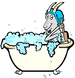 Goat Bathing in Claw Foot Tub
