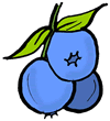Blueberries Clipart