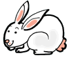 Cute Bunny Clipart