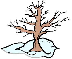 Full Version of Winter Tree Clipart
