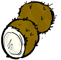 Coconuts Clipart