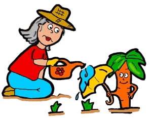 Senior Gardening with Defiant Carrot Clipart