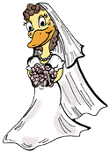 Bride Duck Clipart