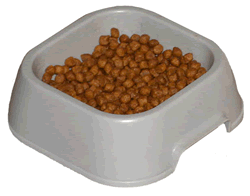 Cat Food