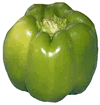 Green Pepper