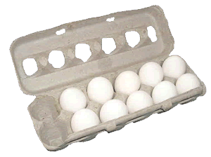 Carton of Eggs