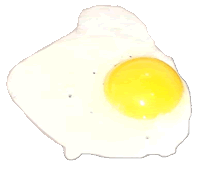 Fried Egg