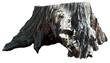 Stump