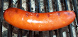 Smokie on Grill