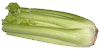 Celery