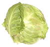 Cabbage Head