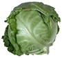 Cabbage Head