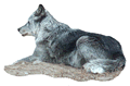 Laying Timber Wolf